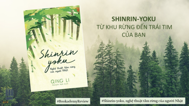 Shinrin Yoku - Nghệ Thuật Tắm Rừng Của Người Nhật