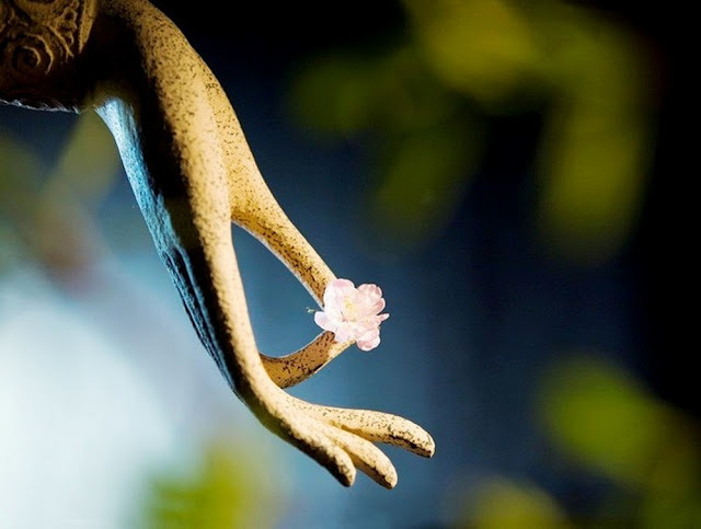 CHƯA TU CHẤP KIỂU ĐỜI, TU RỒI CHẤP KIỂU ĐẠO