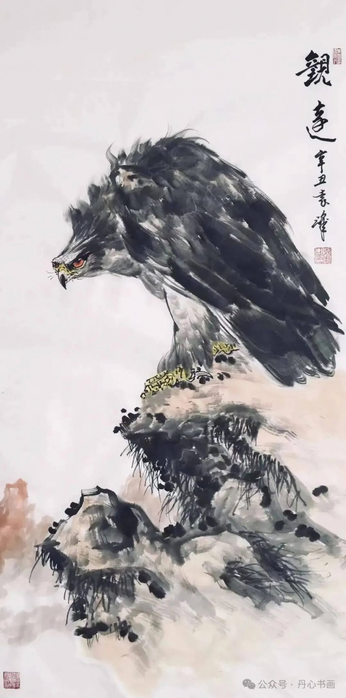 Ngắm Đại Bàng - Nguyên Phong