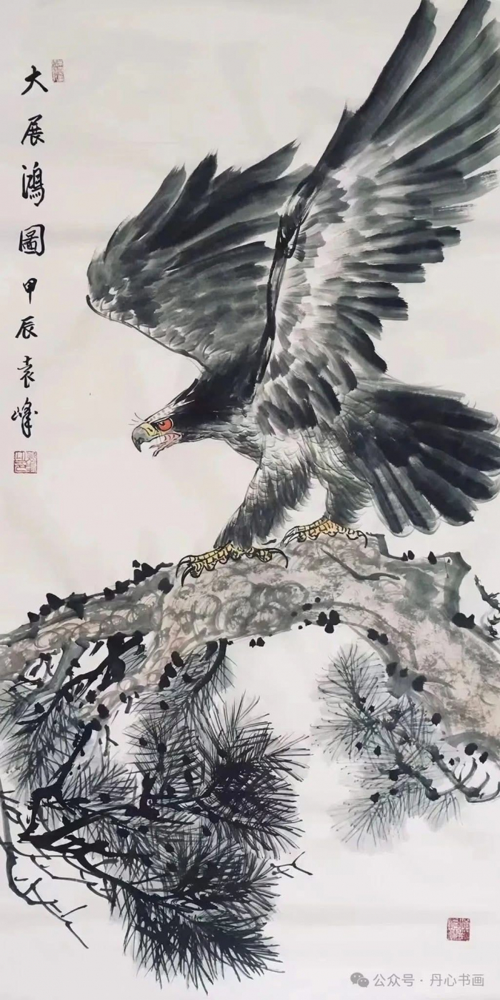Ngắm Đại Bàng - Nguyên Phong