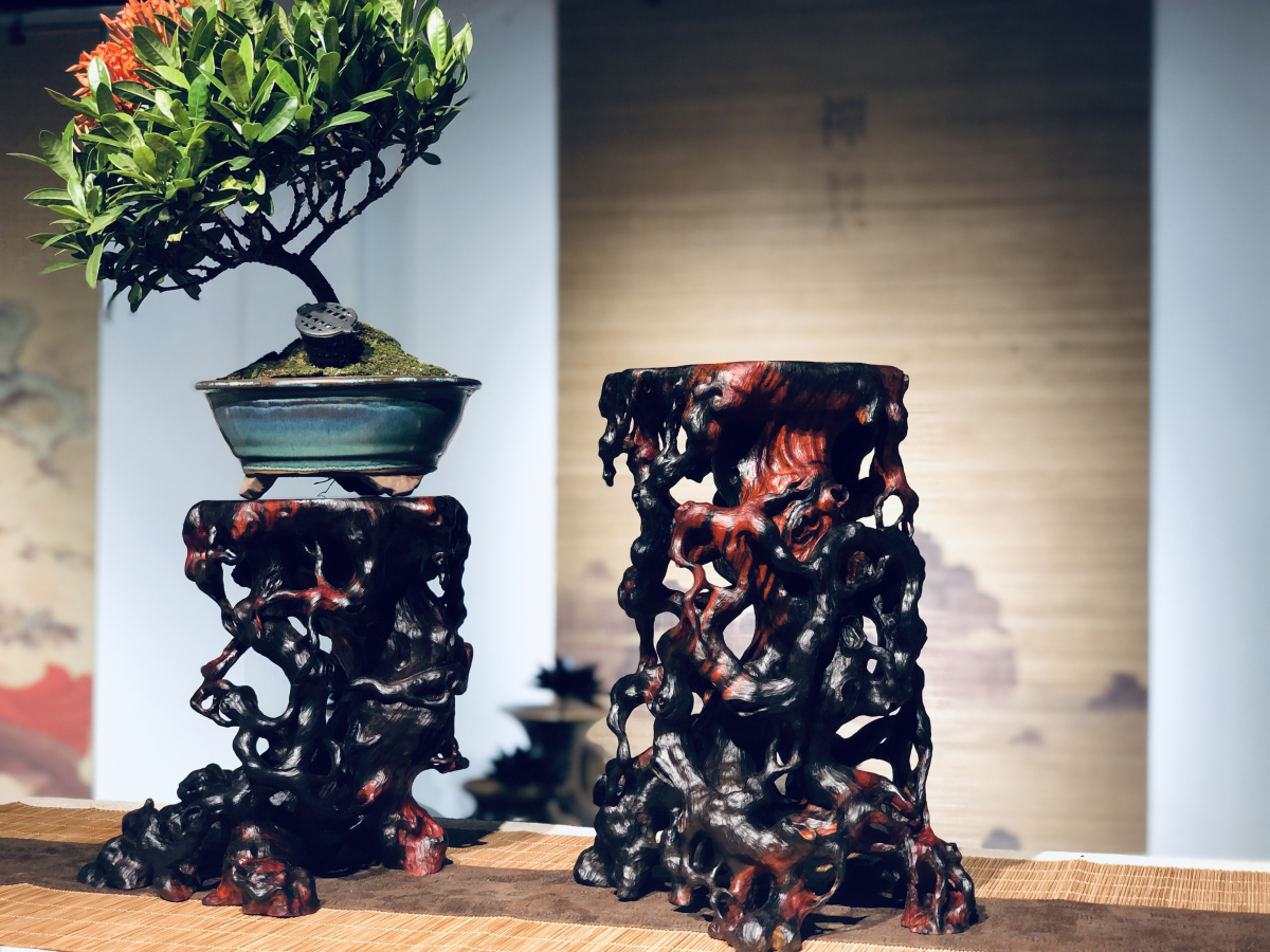 Đôn bonsai