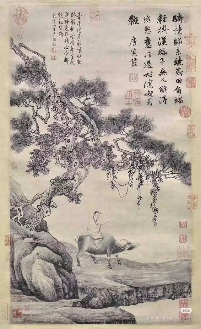 Cuộc đời Đường Bá Hổ