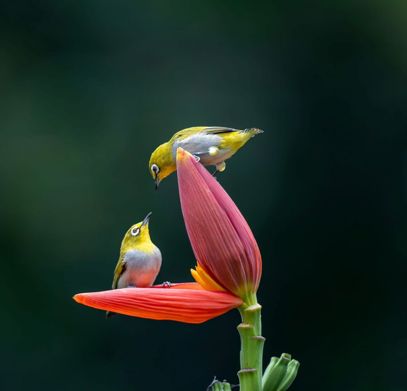 LÀM SAO ĐỐI ĐÃI VỚI 