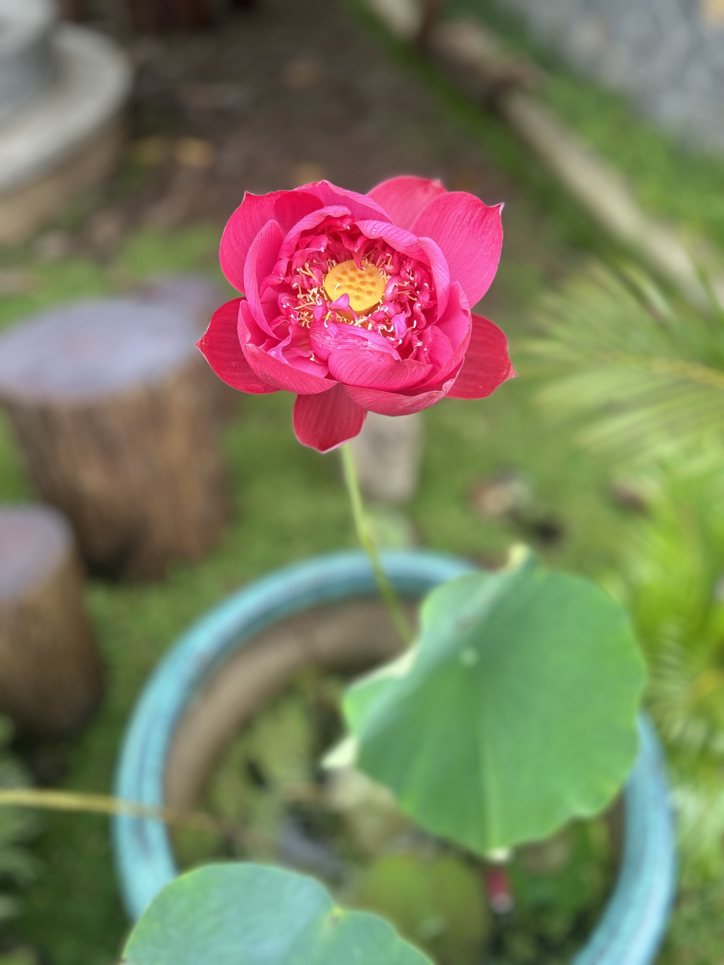 Sức mạnh của lời động viên