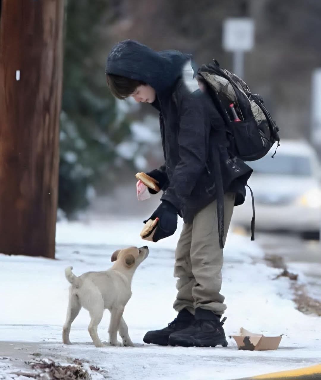 Trung tâm cứu trợ Michael's Haven