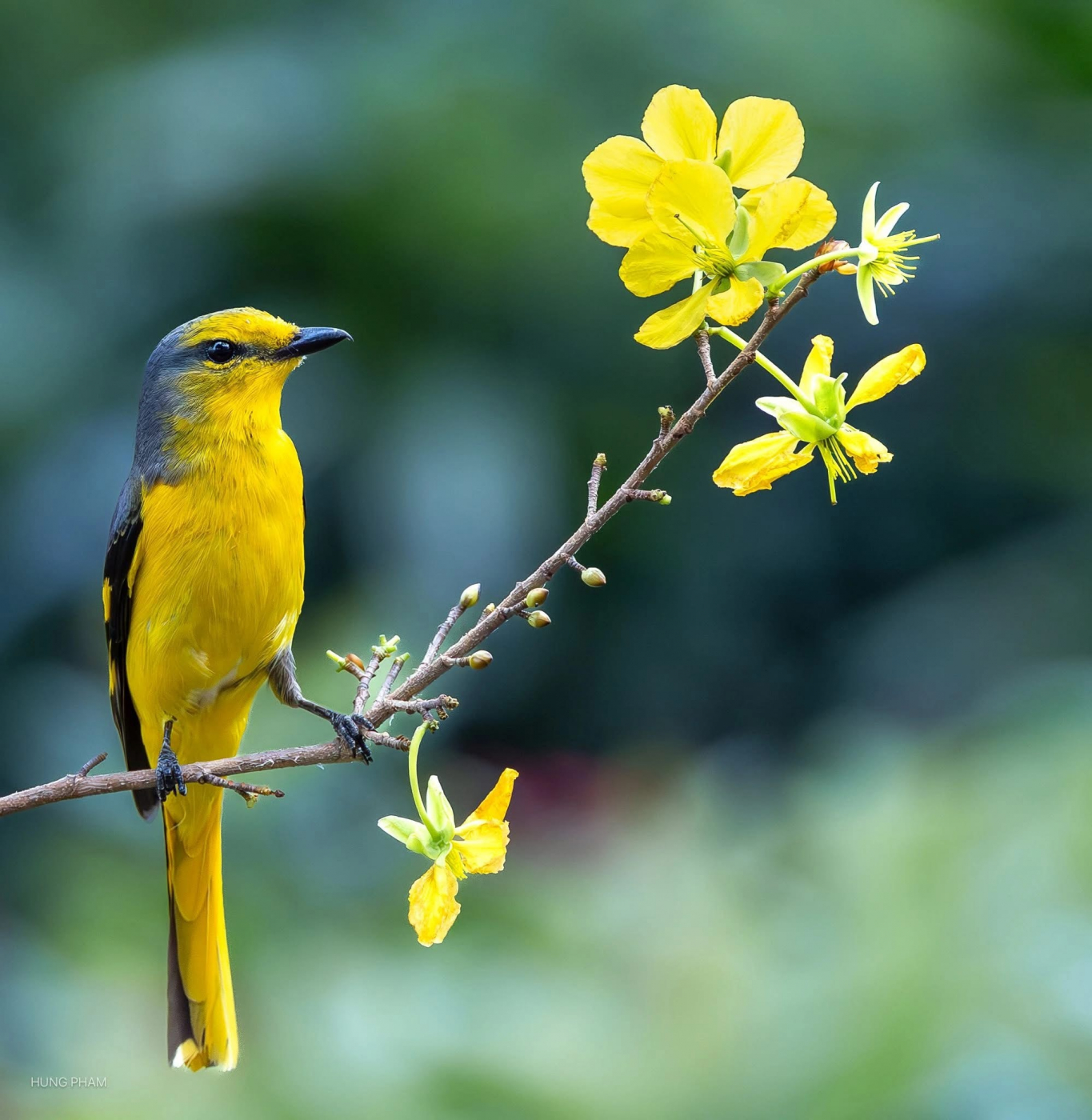 HỌA PHÚC ĐỜI NGƯỜI QUA CUỘC ĐỐI THOẠI GIỮA TIỀU PHU VÀ NGƯ PHỦ