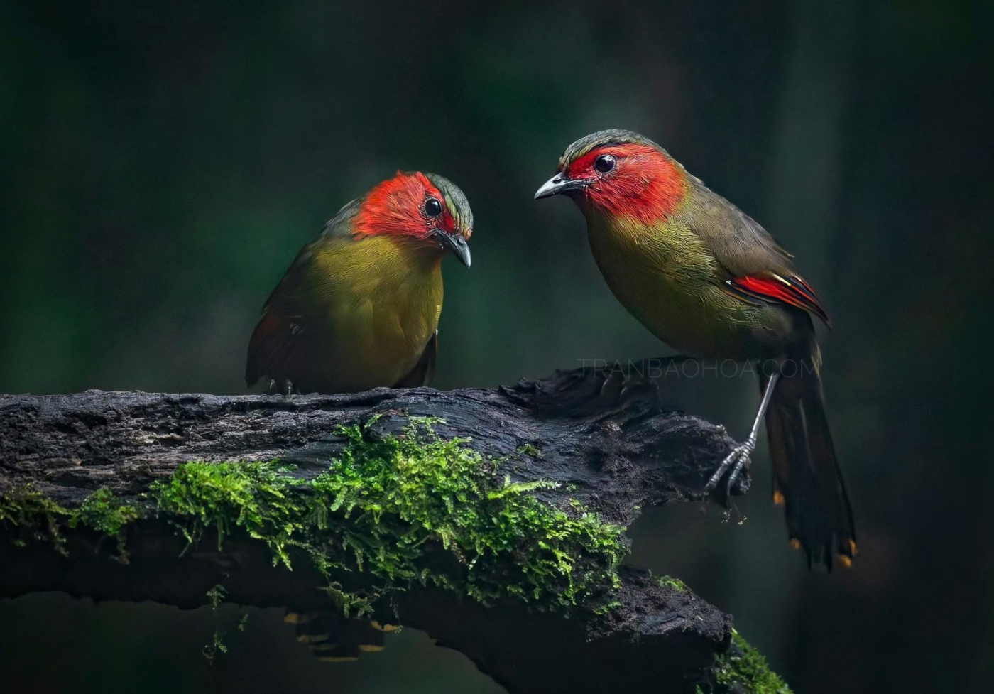 “Kết giao nhìn chí hướng, không nhìn lời nói”?