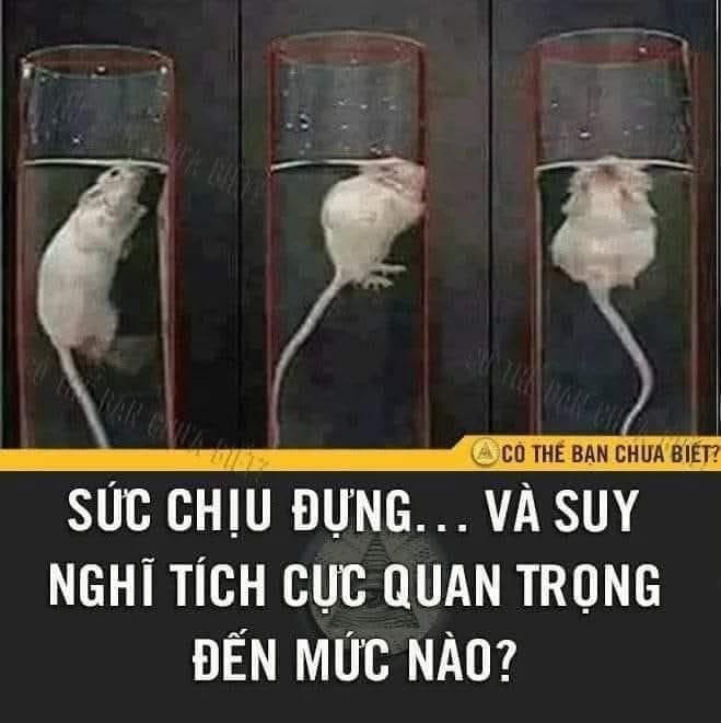 Sức mạnh của sự tích cực