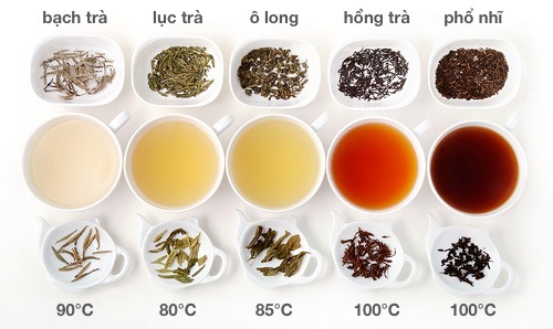 Nguồn gốc cách đặt tên các loại trà