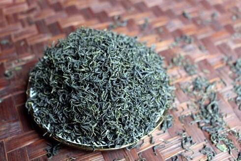 Tác dụng của trà sấy khô, trà tươi và trà túi lọc đối với sức khỏe