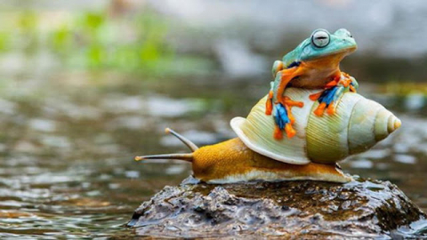 GẶP LÚC SA CƠ ĐỪNG BI LỤY, TRỜI SINH RA TA ẮT CÓ CHỖ ĐỂ DÙNG