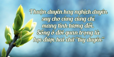 TUỲ NGỘ MÀ AN TUỲ DUYÊN MÀ SỐNG