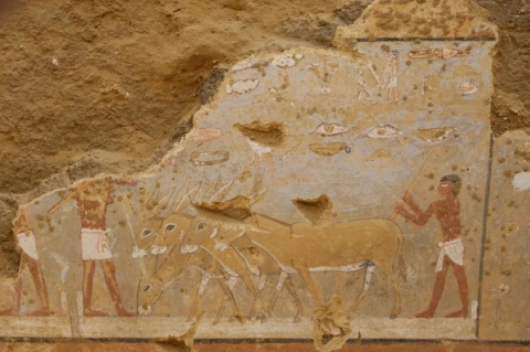 Tranh về đời sống Ai Cập được tìm thấy trong mộ cổ
