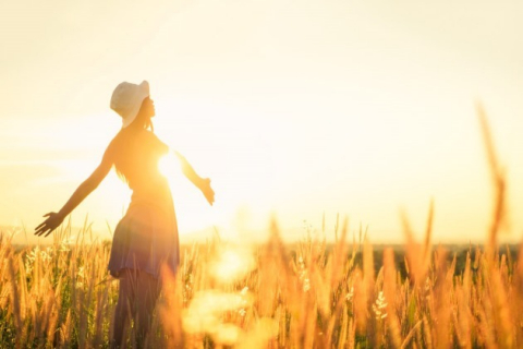 Ở ĐỜI CÓ NHỮNG THỨ CÀNG NHIỀU CÀNG GÂY HỌA