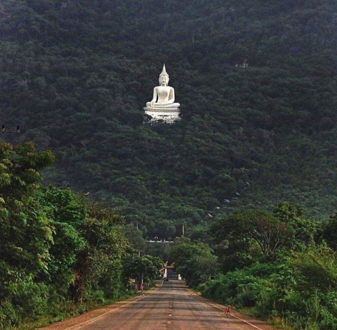 Chén trà nhân loại