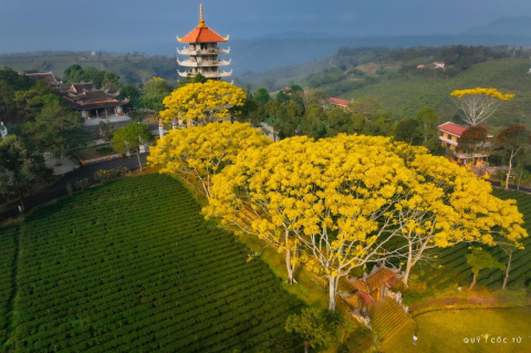 KHÔNG SỢ ĐI CHẬM, CHỈ SỢ DỪNG CHÂN...