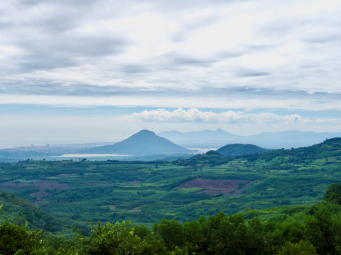 Chuyện người bán cháo 