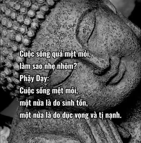 Hai Thái сực của tự do tài chính: Người nghèo mắc ɓệո‌h SĨ còn người giàu mắc ɓệո‌h THAM