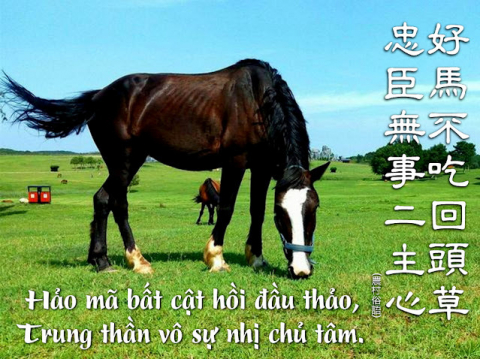 NGUỒN GỐC CỦA CÂU TỤC NGỮ 