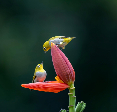 LÀM SAO ĐỐI ĐÃI VỚI 