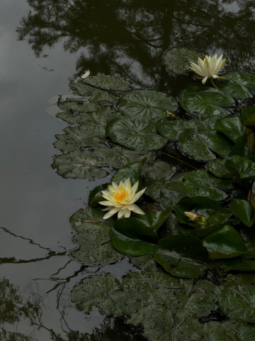 Tại sao “đại nạn không chết tất có hậu phúc”? Lão tổ tông chỉ ra chân tướng