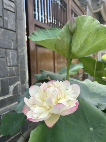 TIẾT KIỆM KHÔNG CHỈ LÀ GIỮ 