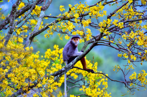 NGHỊCH LÝ CUỘC ĐỜI: NGƯỜI CÀNG GIÀU CÀNG GIẢN DỊ, KẺ CÀNG PHÔ TRƯƠNG CÀNG KỆCH CỠM!