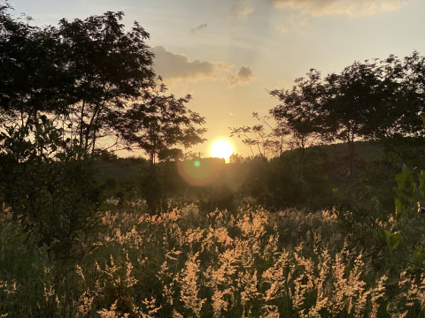 “Cắt tóc phỏng vấn – Miễn phí. Không ngoại lệ.”