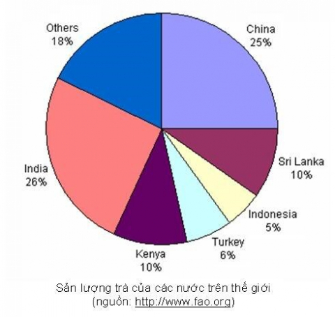 Làm sao phân biệt các loại trà?