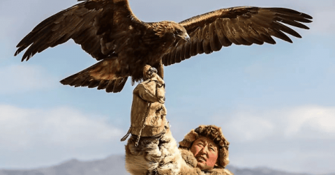 Bất cứ hành động nào được thực hiện trong sự giận dữ đều là hành động đưa đến sự thất bại