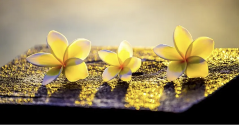 Ăn uống đạm bạc tùy duyên sống, giàu sang vinh hoa đừng cố cầu