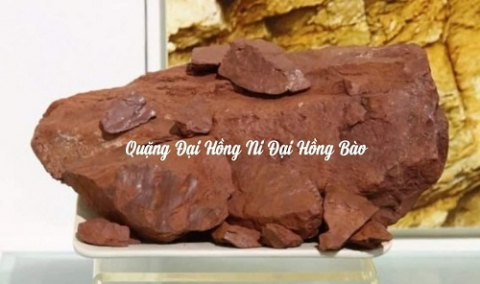 SỰ THẬT VỀ CHẤT ĐẤT ĐẠI HỒNG BÀO