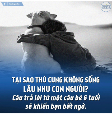 TẠI SAO THÚ CƯNG KHÔNG SỐNG LÂU NHƯ CON NGƯỜI