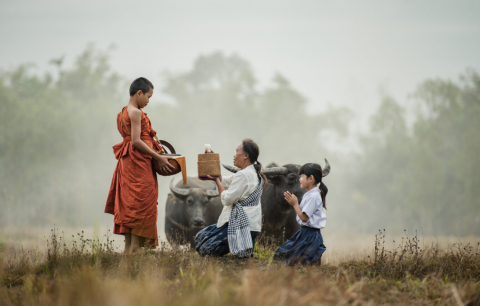 Câu chuyện về 