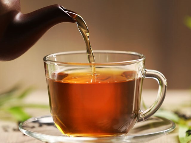 Trà Sassafras là gì? Lợi ích của trà với sức khỏe