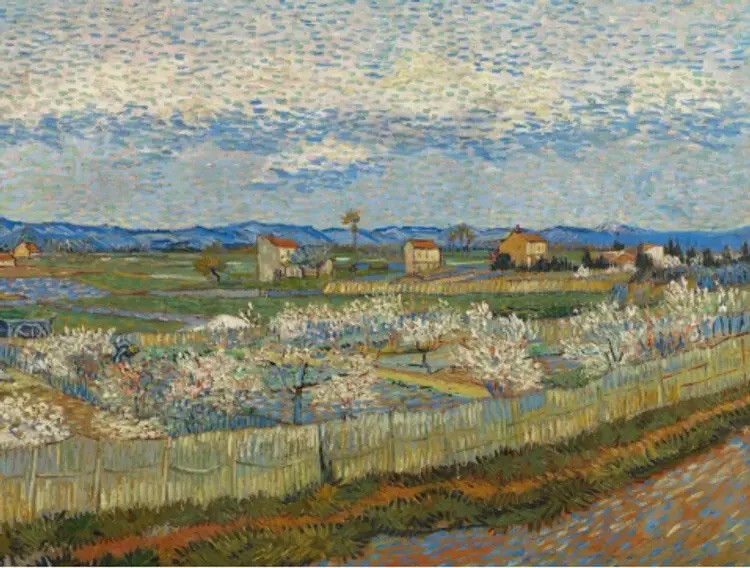 Van Gogh vẽ liên tiếp 4 bức tranh sau khi tự cắt tai